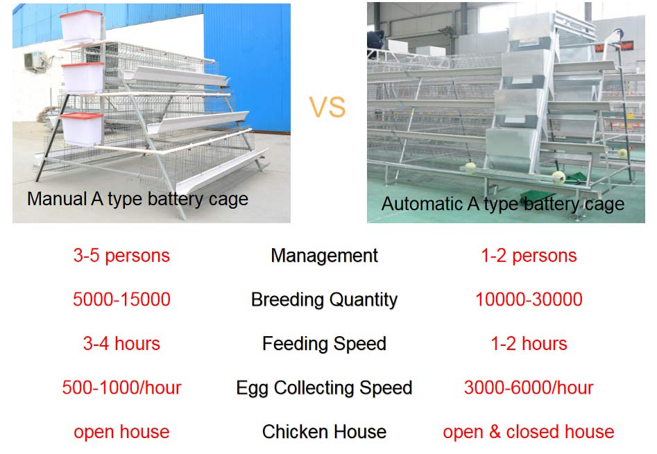 manual-and-automatic-a-type-battery-cage