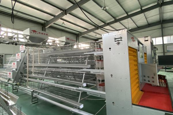 automatic A type layer cages