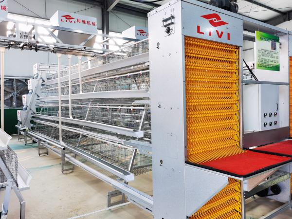 layer battery chicken cage